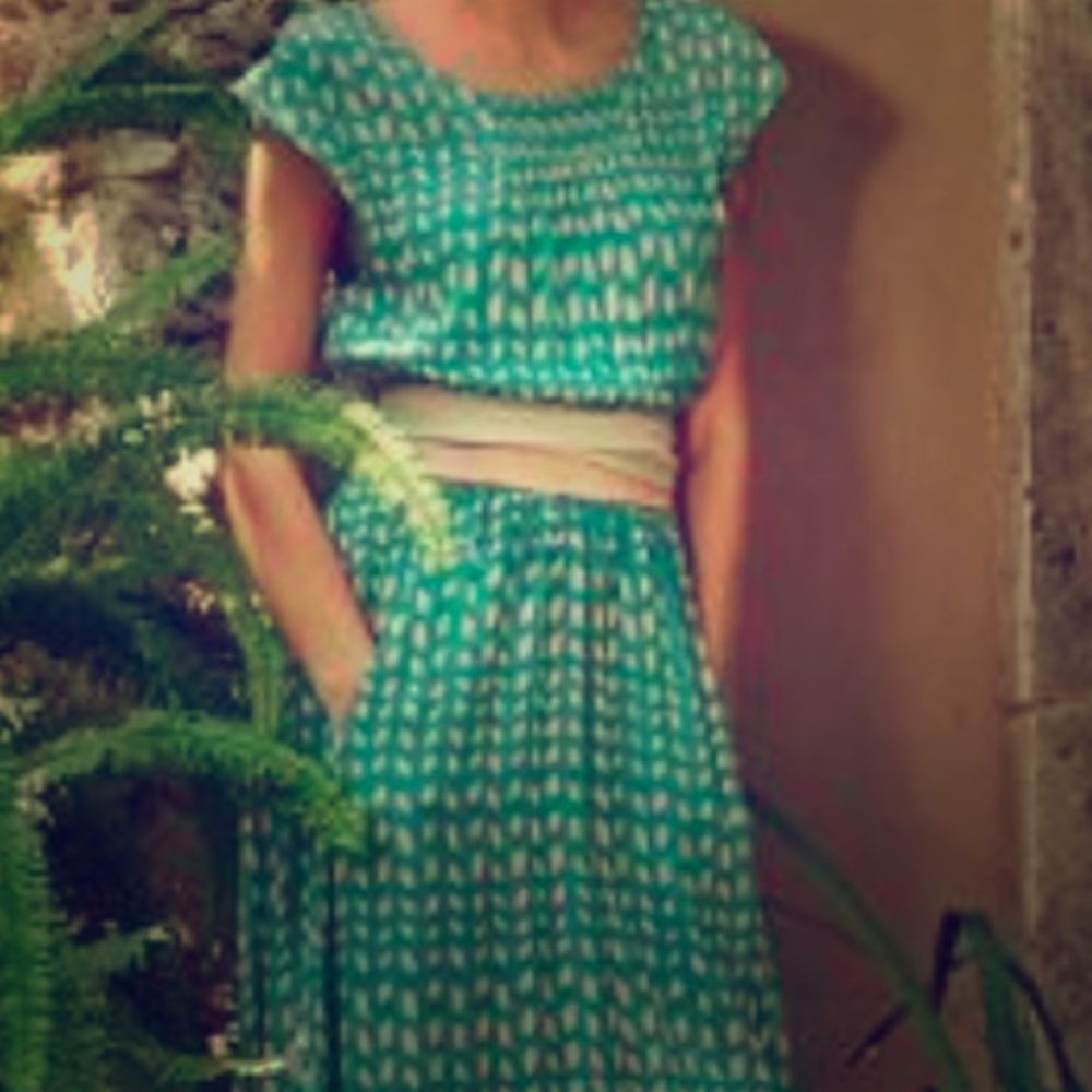 Anthropologie Maeve Evaline dress in Green & Pink